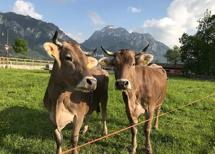 Chalet Alpenrose Birgit Heinz